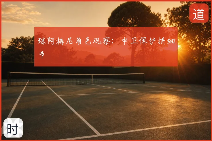 琼阿梅尼角色观察：中卫保护拼细节