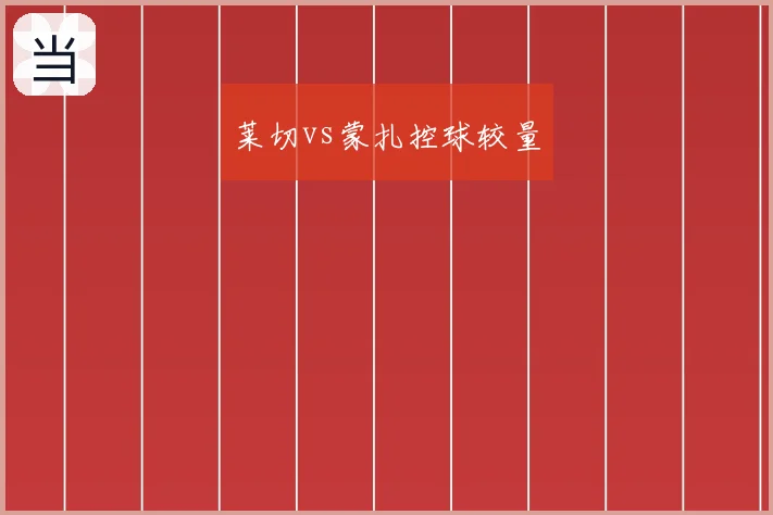 莱切vs蒙扎控球较量